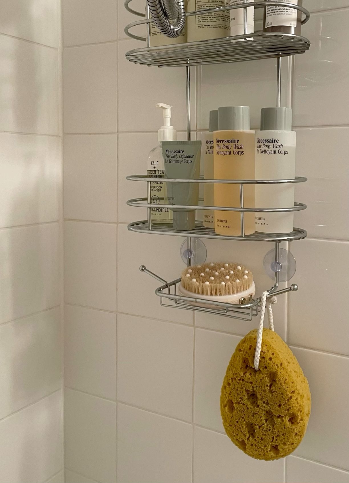 Trending Shower Storage Ideas for Small Bathrooms 2026 Discover best shower organization products with reviews that everyone is adding to cart right now. Don’t miss these bathroom deals and create a organized shower space. #AmazonMustHaves #CleanBathroom #BathroomInspo #DeclutterHome #HomeEssentials